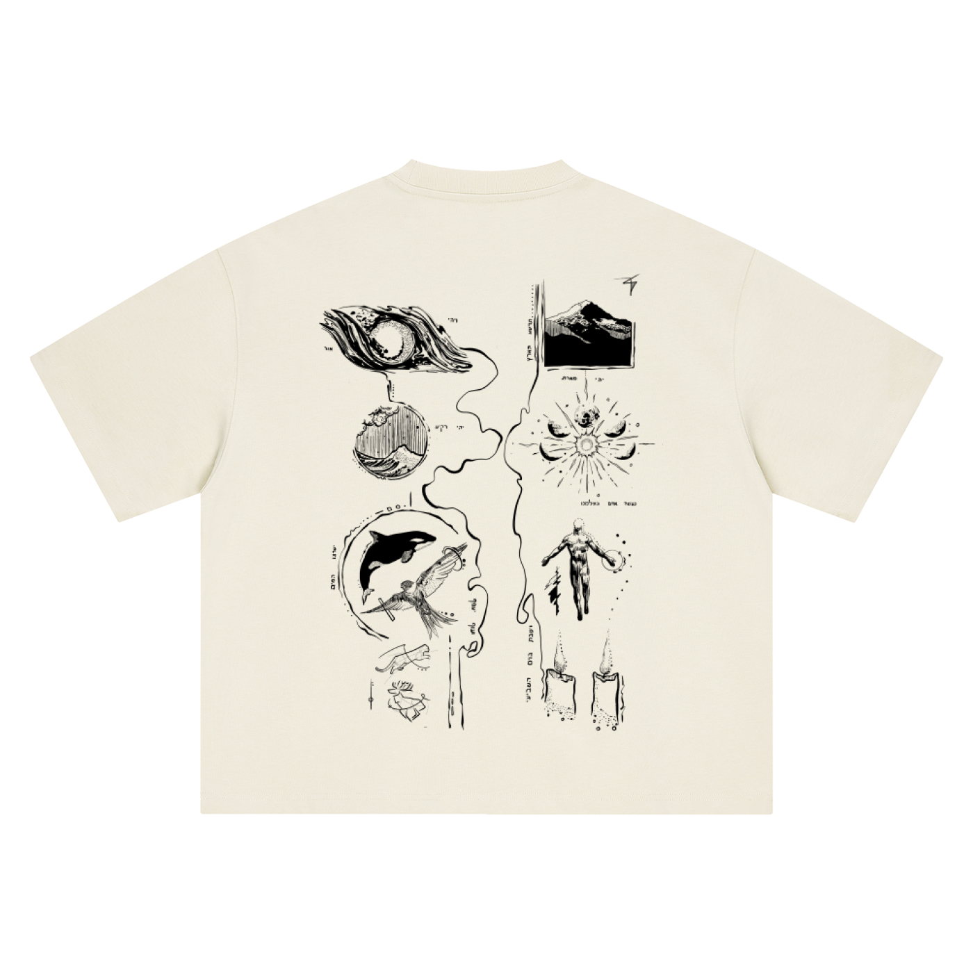 6 days of creation T