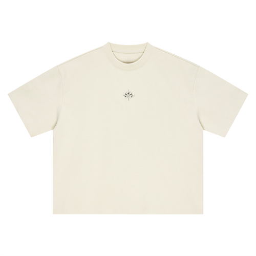 6 days of creation T