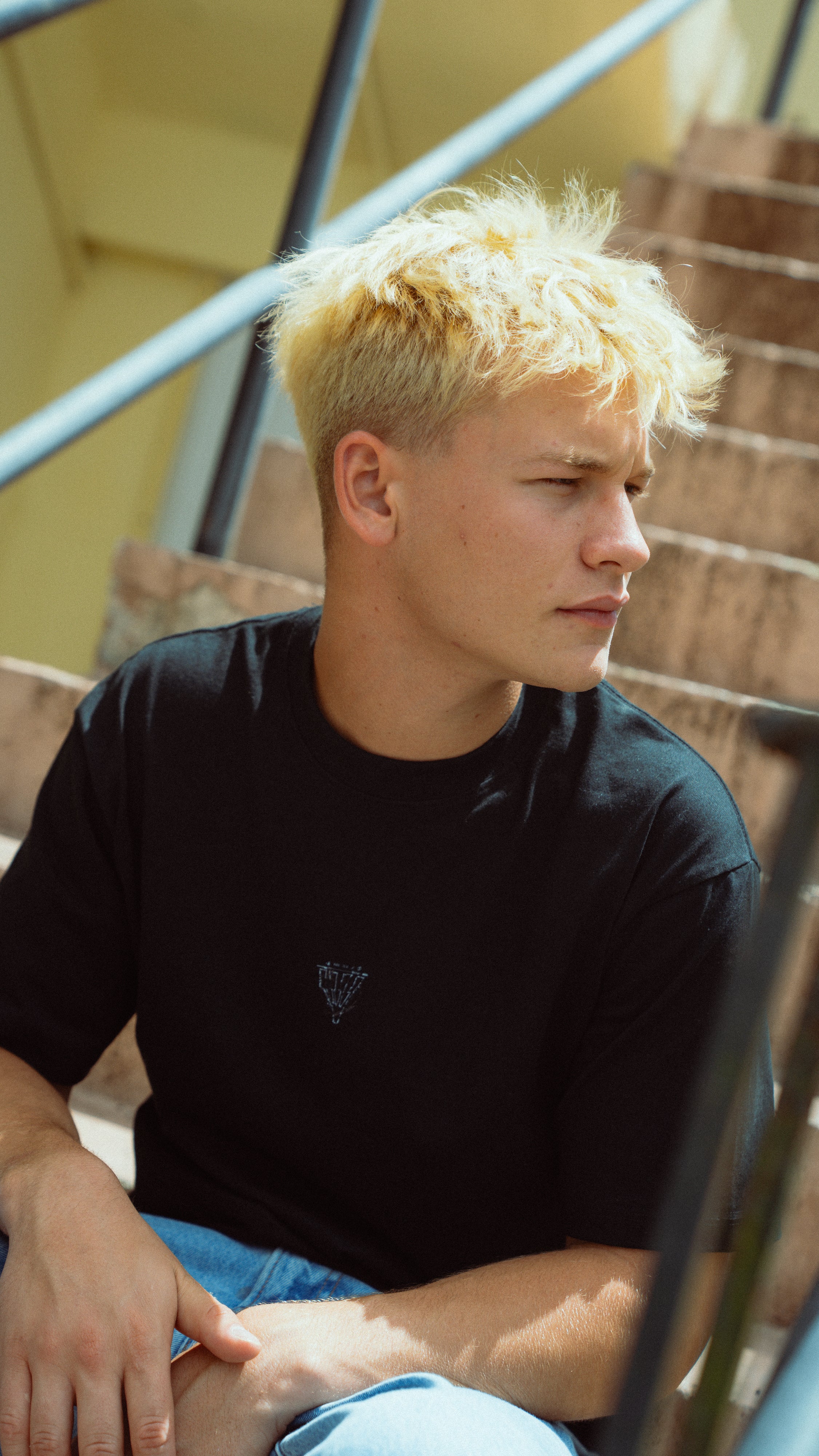 The Classic Vitruvian